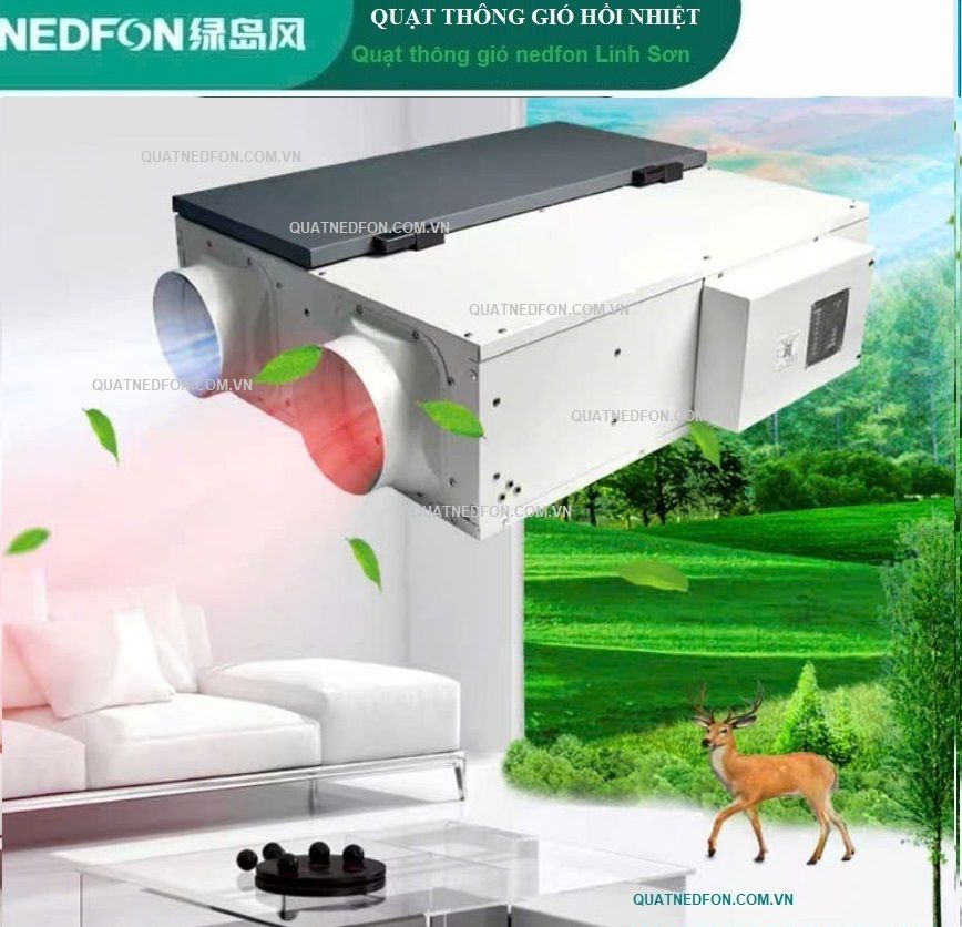Quạt Nedfon có tốt không nếu lắp cho không gian kín, ít cửa sổ? Góc nhìn kỹ thuật thông gió